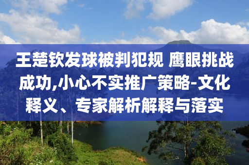 王楚欽發(fā)球被判犯規(guī) 鷹眼挑戰(zhàn)成功,小心不實推廣策略-文化釋義、專家解析解釋與落實