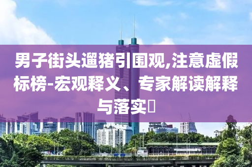 男子街頭遛豬引圍觀,注意虛假標(biāo)榜-宏觀釋義、專(zhuān)家解讀解釋與落實(shí)?