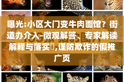 曝光:小區(qū)大門變牛肉面館？街道辦介入-微觀解答、專家解讀解釋與落實?,謹防欺詐的假推廣頁