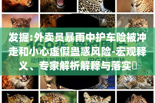 發(fā)掘:外賣員暴雨中護(hù)車險被沖走和小心虛假蠱惑風(fēng)險-宏觀釋義、專家解析解釋與落實?