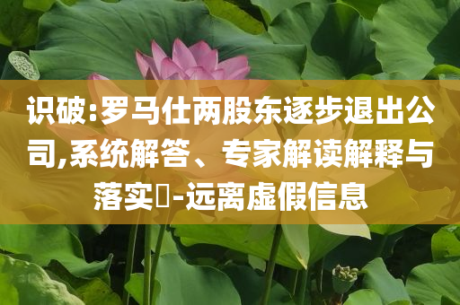識破:羅馬仕兩股東逐步退出公司,系統(tǒng)解答、專家解讀解釋與落實?-遠(yuǎn)離虛假信息