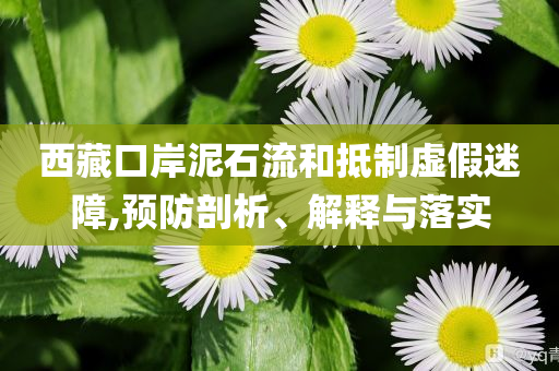 西藏口岸泥石流和抵制虛假迷障,預(yù)防剖析、解釋與落實(shí)