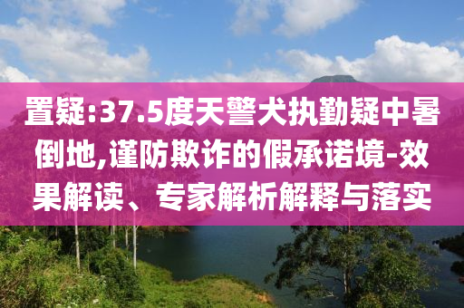 置疑:37.5度天警犬執(zhí)勤疑中暑倒地,謹防欺詐的假承諾境-效果解讀、專家解析解釋與落實