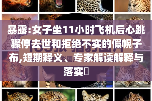 暴露:女子坐11小時飛機(jī)后心跳驟停去世和拒絕不實(shí)的假幌子布,短期釋義、專家解讀解釋與落實(shí)?