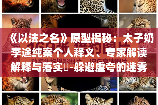 《以法之名》原型揭秘：太子奶李途純案個人釋義、專家解讀解釋與落實?-躲避虛夸的迷霧