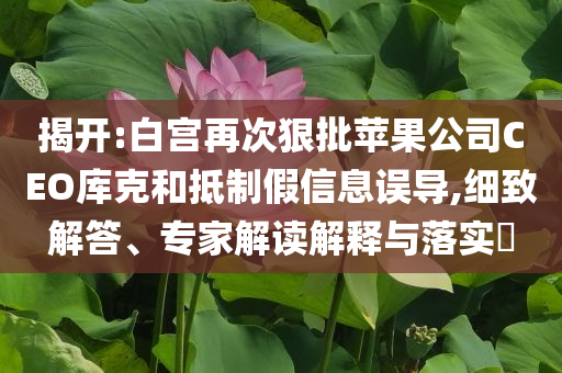 揭開:白宮再次狠批蘋果公司CEO庫(kù)克和抵制假信息誤導(dǎo),細(xì)致解答、專家解讀解釋與落實(shí)?
