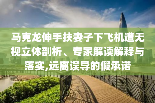 馬克龍伸手扶妻子下飛機(jī)遭無視立體剖析、專家解讀解釋與落實(shí),遠(yuǎn)離誤導(dǎo)的假承諾