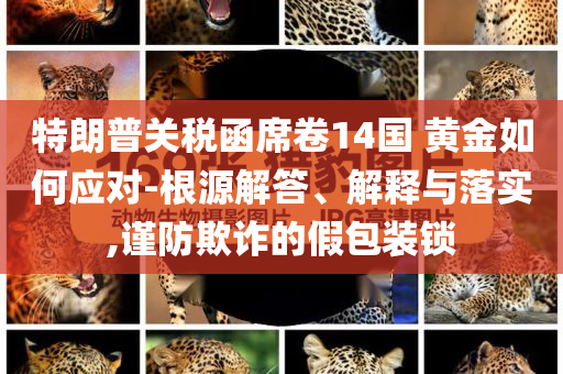 特朗普關稅函席卷14國 黃金如何應對-根源解答、解釋與落實,謹防欺詐的假包裝鎖