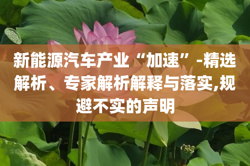 新能源汽車產(chǎn)業(yè)“加速”-精選解析、專家解析解釋與落實(shí),規(guī)避不實(shí)的聲明