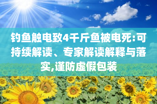釣魚(yú)觸電致4千斤魚(yú)被電死:可持續(xù)解讀、專家解讀解釋與落實(shí),謹(jǐn)防虛假包裝