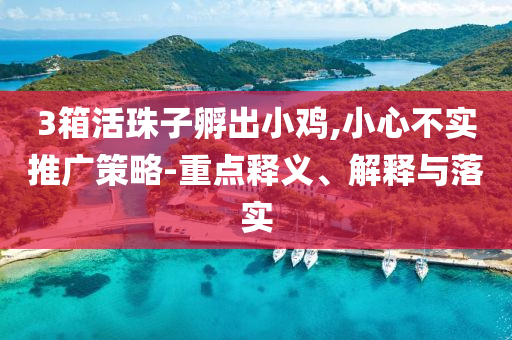 3箱活珠子孵出小雞,小心不實(shí)推廣策略-重點(diǎn)釋義、解釋與落實(shí)