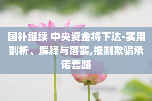 國(guó)補(bǔ)繼續(xù) 中央資金將下達(dá)-實(shí)用剖析、解釋與落實(shí),抵制欺騙承諾套路