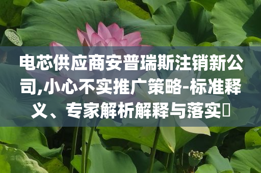 電芯供應(yīng)商安普瑞斯注銷(xiāo)新公司,小心不實(shí)推廣策略-標(biāo)準(zhǔn)釋義、專家解析解釋與落實(shí)?