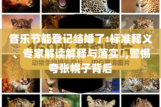 音樂(lè)節(jié)能登記結(jié)婚了:標(biāo)準(zhǔn)釋義、專家解讀解釋與落實(shí)?,警惕夸張幌子背后