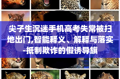 尖子生沉迷手機(jī)高考失常被掃地出門,智能釋義、解釋與落實(shí)-抵制欺詐的假誘導(dǎo)旗