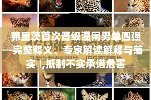 弗里茨首次晉級溫網(wǎng)男單四強-完整釋義、專家解讀解釋與落實?,抵制不實承諾危害