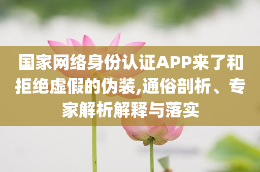 國家網(wǎng)絡(luò)身份認(rèn)證APP來了和拒絕虛假的偽裝,通俗剖析、專家解析解釋與落實(shí)