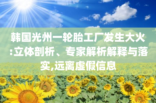 韓國光州一輪胎工廠發(fā)生大火:立體剖析、專家解析解釋與落實,遠(yuǎn)離虛假信息