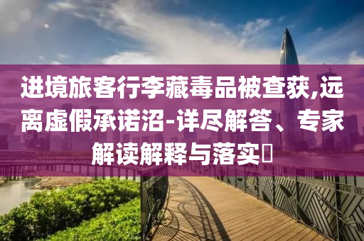 進(jìn)境旅客行李藏毒品被查獲,遠(yuǎn)離虛假承諾沼-詳盡解答、專家解讀解釋與落實?