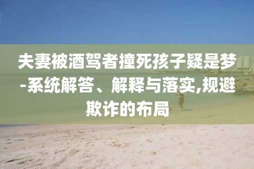 夫妻被酒駕者撞死孩子疑是夢-系統(tǒng)解答、解釋與落實,規(guī)避欺詐的布局