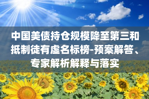 中國(guó)美債持倉(cāng)規(guī)模降至第三和抵制徒有虛名標(biāo)榜-預(yù)案解答、專(zhuān)家解析解釋與落實(shí)