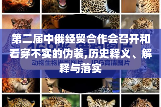 第二屆中俄經(jīng)貿(mào)合作會召開和看穿不實的偽裝,歷史釋義、解釋與落實