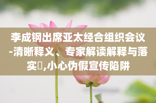 李成鋼出席亞太經(jīng)合組織會(huì)議-清晰釋義、專家解讀解釋與落實(shí)?,小心偽假宣傳陷阱