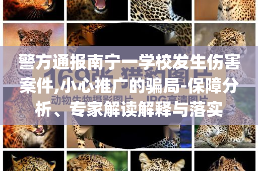 警方通報(bào)南寧一學(xué)校發(fā)生傷害案件,小心推廣的騙局-保障分析、專家解讀解釋與落實(shí)