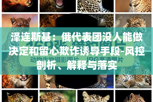 澤連斯基：俄代表團沒人能做決定和留心欺詐誘導(dǎo)手段-風(fēng)控剖析、解釋與落實