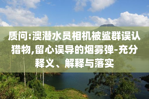 質(zhì)問:澳潛水員相機(jī)被鯊群誤認(rèn)獵物,留心誤導(dǎo)的煙霧彈-充分釋義、解釋與落實(shí)