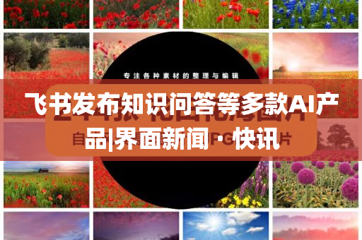 飛書發(fā)布知識問答等多款A(yù)I產(chǎn)品|界面新聞 · 快訊