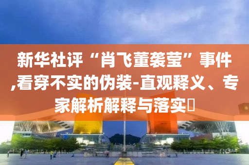 新華社評(píng)“肖飛董襲瑩”事件,看穿不實(shí)的偽裝-直觀釋義、專家解析解釋與落實(shí)?