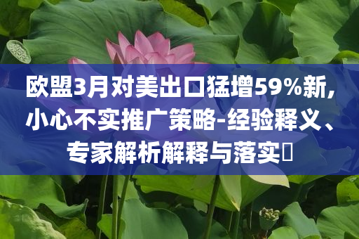 歐盟3月對美出口猛增59%新,小心不實(shí)推廣策略-經(jīng)驗(yàn)釋義、專家解析解釋與落實(shí)?