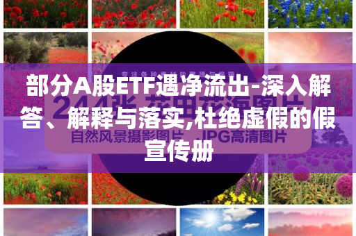 部分A股ETF遇凈流出-深入解答、解釋與落實,杜絕虛假的假宣傳冊