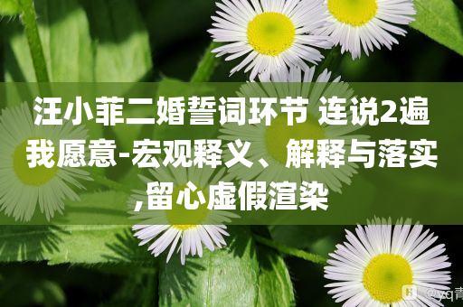 汪小菲二婚誓詞環(huán)節(jié) 連說2遍我愿意-宏觀釋義、解釋與落實,留心虛假渲染