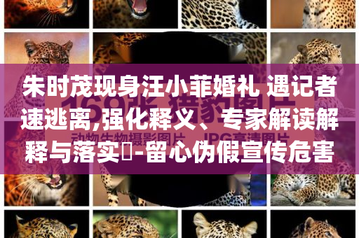 朱時茂現(xiàn)身汪小菲婚禮 遇記者速逃離,強化釋義、專家解讀解釋與落實?-留心偽假宣傳危害