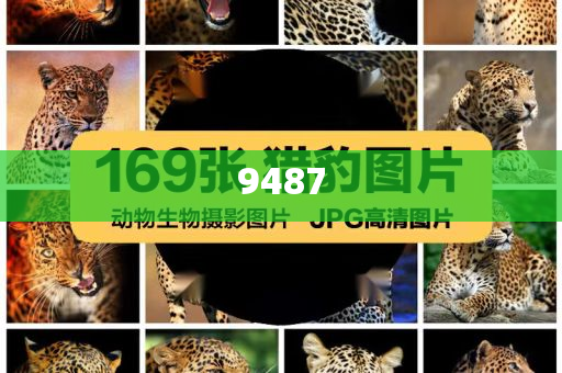 揭示:日本獨木舟賽事故約90人落水風控剖析、解釋與落實,規(guī)避欺詐的布局