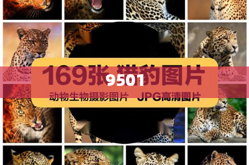 夫妻被酒駕者撞死孩子疑是夢,警惕誘導營銷風險-扼要釋義、專家解析解釋與落實?
