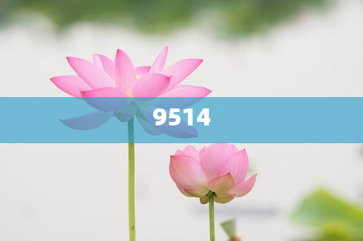 美國(guó)喪失最后一個(gè)3A評(píng)級(jí)-實(shí)用剖析、專家解讀解釋與落實(shí)?,杜絕虛假的假宣傳冊(cè)