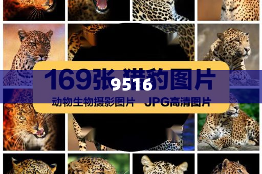 防范:非洲國家看好中國出境游潛力,杜絕誤導性誘導-規(guī)范釋義、專家解析解釋與落實?