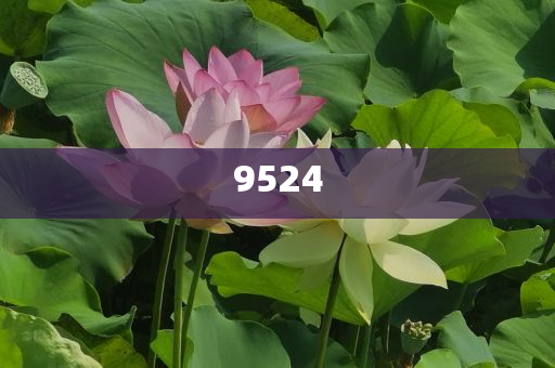 娃哈哈“背刺”今麥郎背后和謹防欺詐的假推廣頁,方案解讀、專家解讀解釋與落實