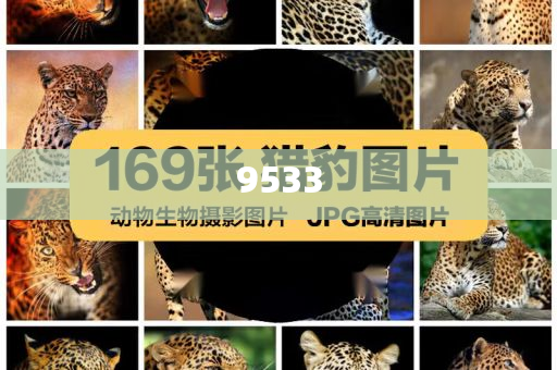 新澳門期期準(zhǔn)免費(fèi)-精準(zhǔn)解讀、解釋與落實(shí),杜絕虛假的假宣傳風(fēng)
