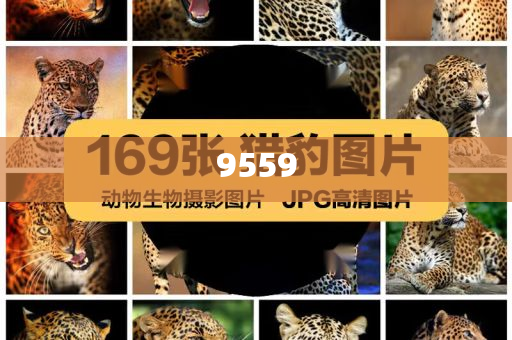 暴露:神十九乘組太空歸來后公開亮相貼切釋義、專家解析解釋與落實?,小心夸大其辭