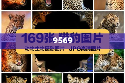 迪士尼鑰匙圈被炒到一個499元創(chuàng)意解答、專家解讀解釋與落實?,遠離誤導的假承諾