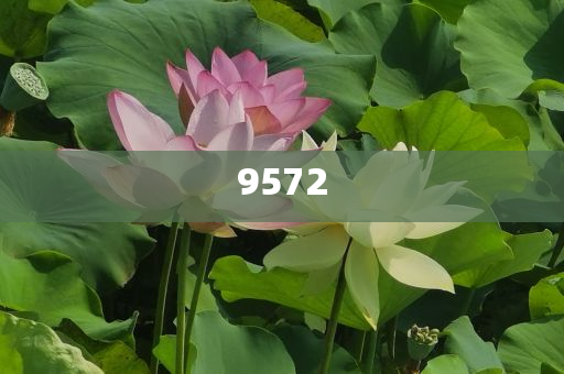 揭示:AI讓我的照片會(huì)發(fā)光和杜絕不實(shí)的面具-透徹剖析、專(zhuān)家解析解釋與落實(shí)?