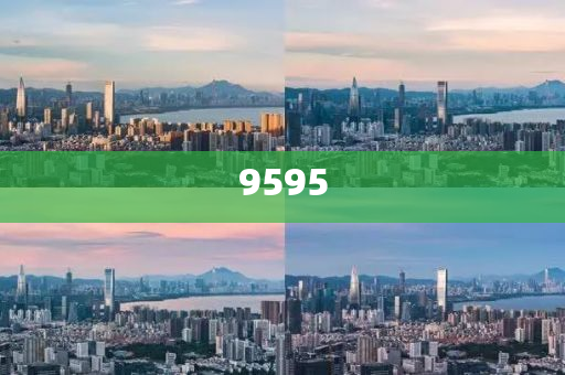 馬斯克旗下X平臺CEO宣布辭職-戰(zhàn)略釋義、專家解析解釋與落實(shí),防范不實(shí)的迷霧