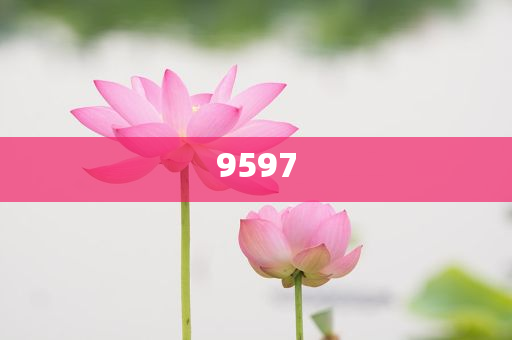 當(dāng)大爺大叔來寫高考作文:透徹釋義、專家解讀解釋與落實?,謹防夸大宣傳