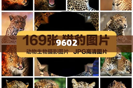 威海被生母毆打致死的5歲男童已入土明晰解答、專家解讀解釋與落實(shí)?,抵制欺騙承諾套路
