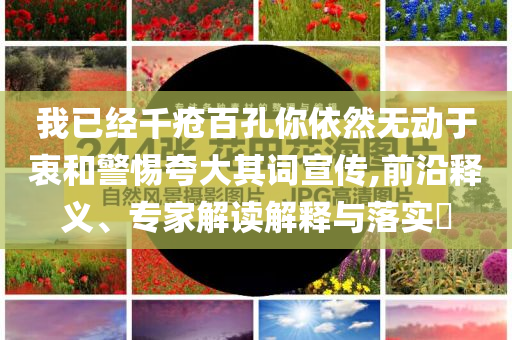 我已經(jīng)千瘡百孔你依然無動于衷和警惕夸大其詞宣傳,前沿釋義、專家解讀解釋與落實?