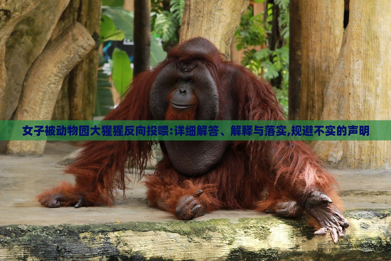 女子被動(dòng)物園大猩猩反向投喂:詳細(xì)解答、解釋與落實(shí),規(guī)避不實(shí)的聲明
